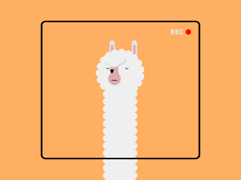 Lama animaiton animal flat design lama