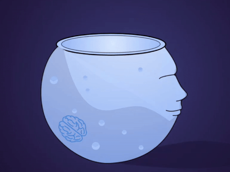 SocialBowl animation design illustration