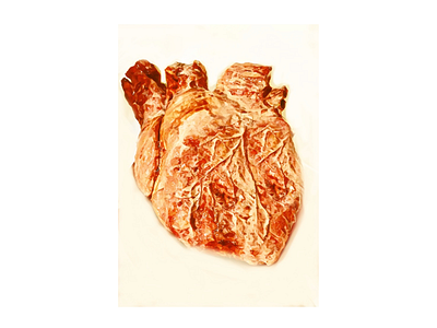 I heart you anatomy art heart illustration photography