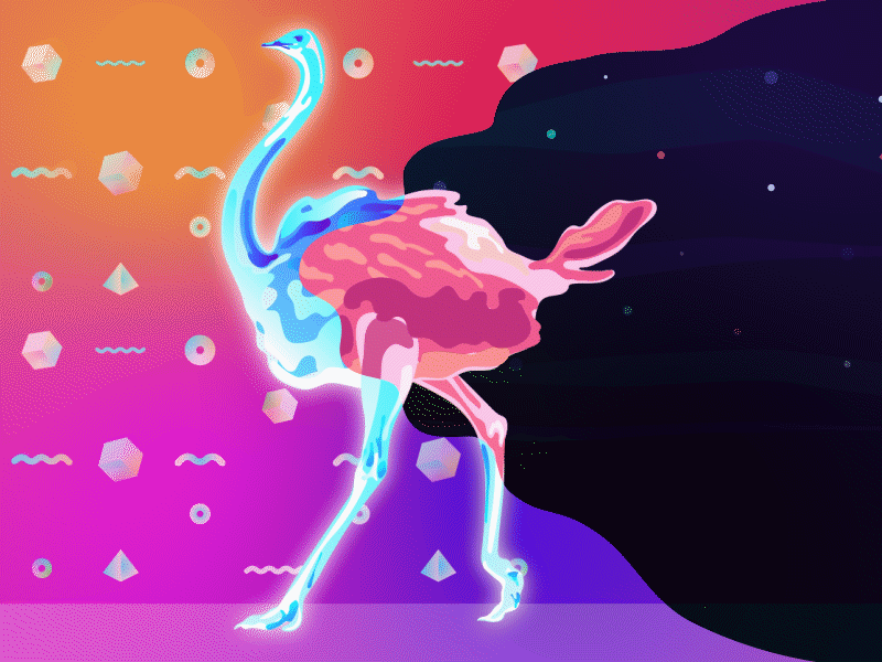 Heading the Virtual animation design flat illustration ostrich virtual reality