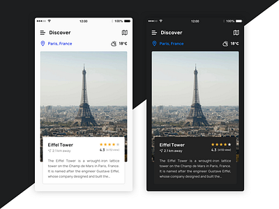 Travel App concept dark theme detail view light theme travel app