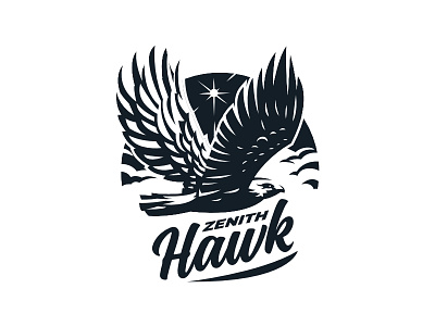 Zenith hawk cloud hawk sky sun zenith
