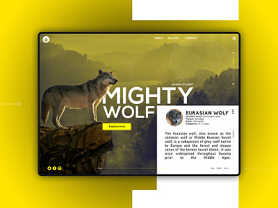 EURASIAN WOLF animal app design flat homepage nature ui ux web webpage design website