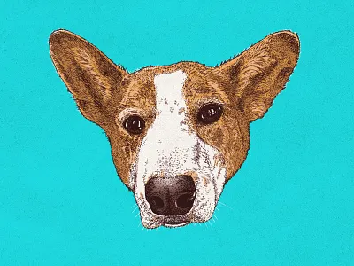Dog Portrait dog illustration ink line art micron pen pen photoshop portrait puppy