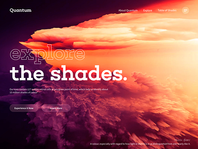 Shades of space app branding flat illustration landing page logo minimal web website