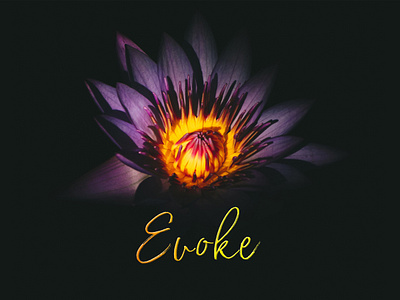 Evoke Banner art artwork branding