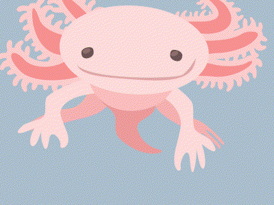 Floating Axolotl amphibian animal animation axolotl cute gif illustration vector