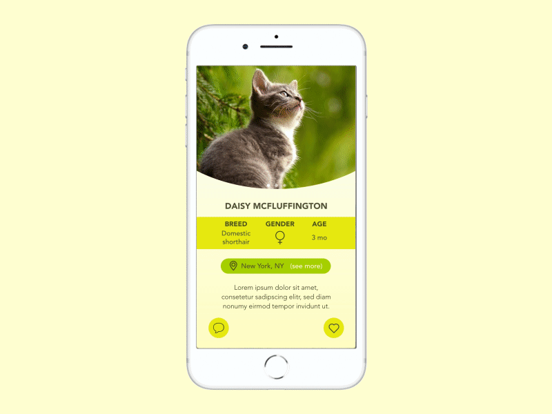 Daily UI 006 cat daily 100 daily 100 challenge daily challange daily ui daily ui 006 pets profile page ui ux design ui challange ui design