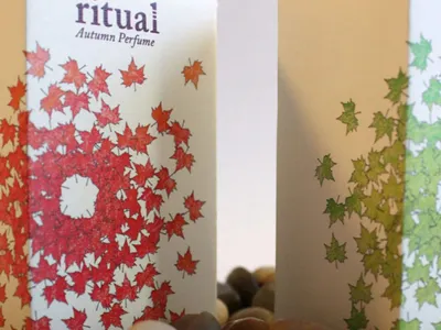 Ritual Perfume Packaging beauty packaging brand concept brand identity branding branding design concept design design process hand drawn handdrawn logo logo design logotype perfume perfume packaging vector