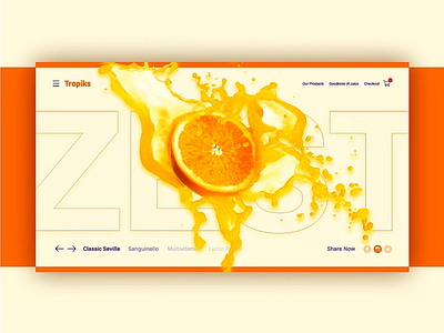 Daily UI – Tropiks creative dailyui tropiks uidesign webdesign