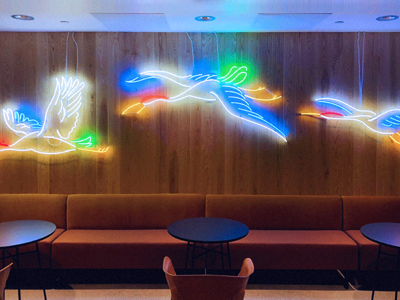 Neon in Toronto // GIF birds clouds heron illustration neon neon lights sun sunset toronto