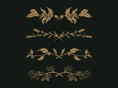 Plant Banners berry coffee plant handdrawn pine pine cone plants wheat wreath