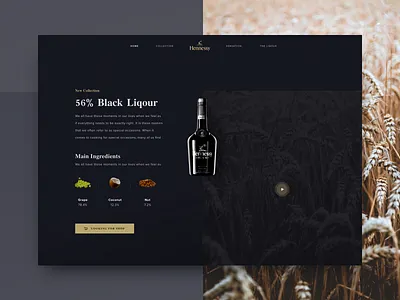 Black Liquor Landing Page black brand landing page classy elegant gradation landing design landing page landing page concept landing page ui liquor