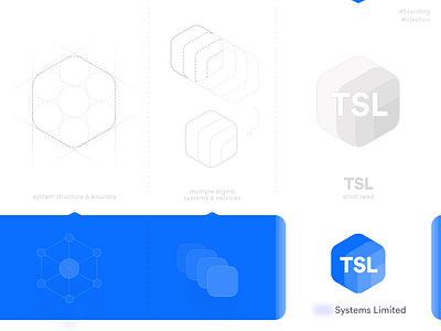 TSL logo design - Branding branding concept creative design digital digital products flat grid logo icon identity jaydev logo logotype mark service provider software system icon system logo systems tsl