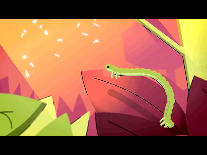 Caterpillar after effects animation bug caterpillar illustration motion graphics nature vector