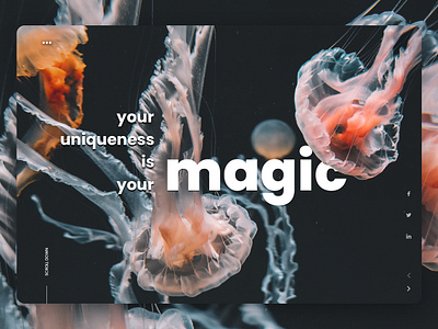 magic design fashion minimal trand ui uidesign ux web website