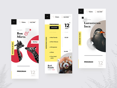 Zoo Mobile Concept 2019 animals bird concept design mobile site ui zoo