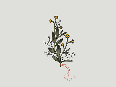 Wildflower Bouquet botanical bouquet branches buttercup flowers gradient illustation leaves vector art wildflowers