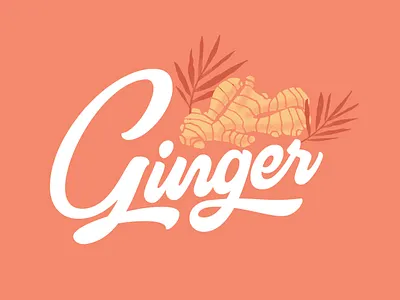 Ginger design lettering vector