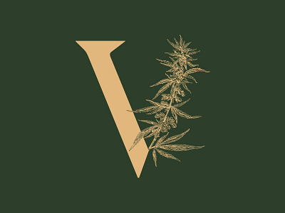 Grown By Vets Identity branding cannabis design identity illustration logo typography