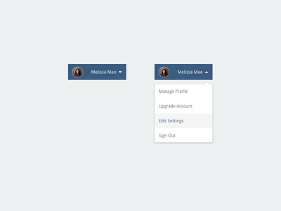 Daily UI Challenge - Day #027 Dropdown 027 dailyui ui