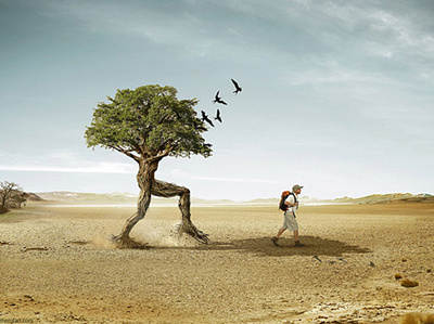 Photoshop Image editing image tracing logo design photo editing
