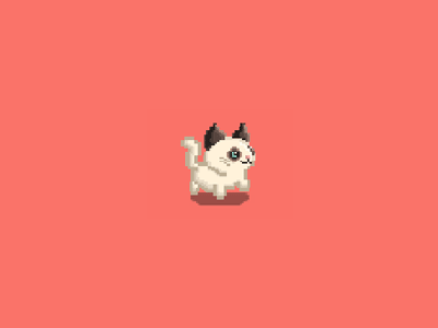 Dancing Cat animated asset cat game illustration pixel pixel art