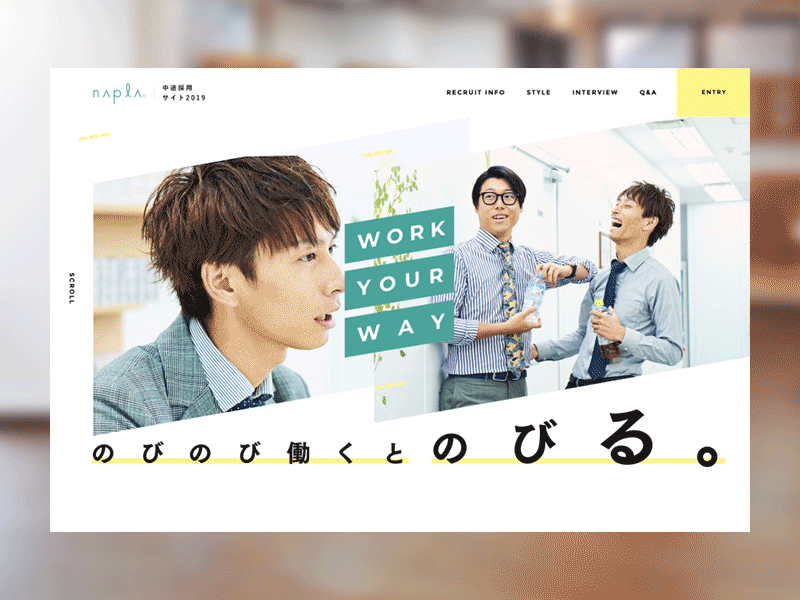 napla Recruitment Website recruit ui design webdesign