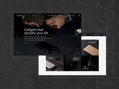 Tesla Goods: Main page desctop design logo portfolio project ui web