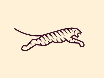 Tiger animal cat tiger