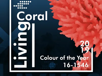 Colour Of The Year 2019 design street art typogaphy