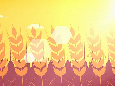 Barley field concept art field illustration illustrator style frame texture