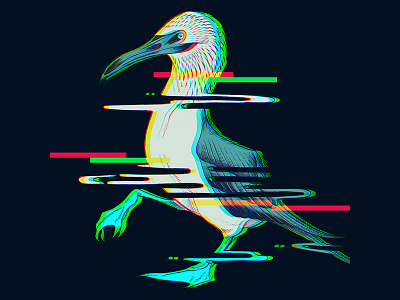 Glitchy Bird art bird booby design doodle glitch graphic highforge illustration ledodesign orlando pen and ink photoshop