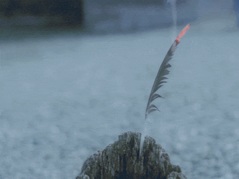 Diabulimia 2d animation design gif