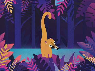 Coati coati flat graphic illustration