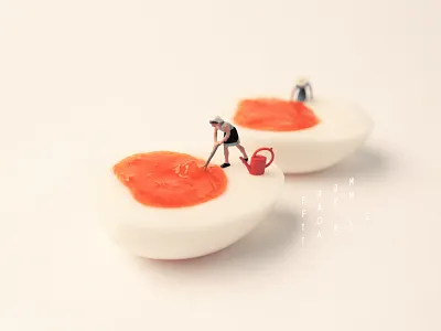 Sagreen food photography food photography