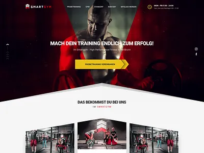 Smartgym clean fitness gym modern website