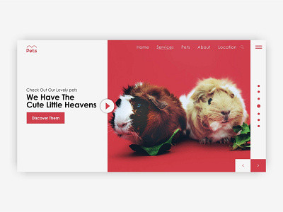 Pets Store app design ux web