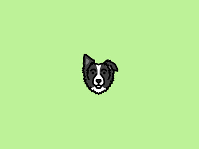 Border Collie animal animal art border collie branding breeds cute design dog dog icon dog illustration dog logo face fido illustration k9 logo pet puppy sheep dog vector