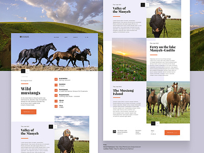 The Rostov Reserve_Tour Category design icon ui ux web website