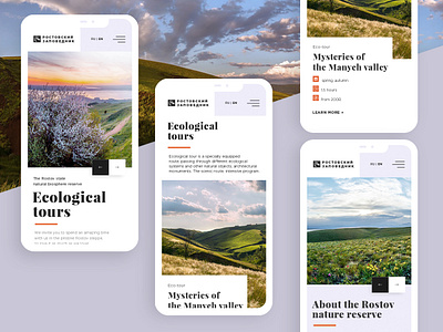The Rostov Reserve App app design ui website