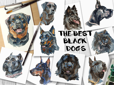 Best Black Dogs beauceron dog black dogs cane corso doberman pinscher dog dogs giant schnauzer great dane groenendael dog hand painted labrador retriever newfoundland watercolor watercolor dog wolfspitz