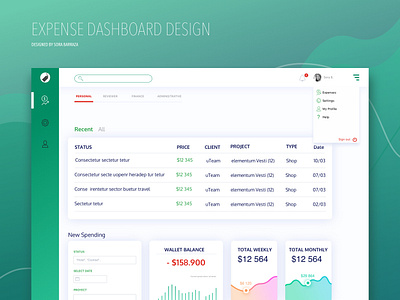 Dashboard Showcase dash board design expense finance ui ux designer web