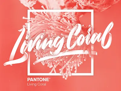 Living Coral 3d angeloknf brush calligraphy color design font hand lettering hand lettering handlettering illustration inspiration ipad lettering lettering logo photoshop procreate script type typography