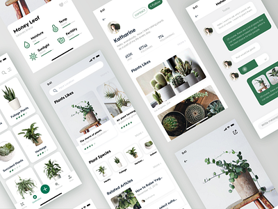 About plant a App concept illustration plant service sketch ui ux 应用 界面 设计