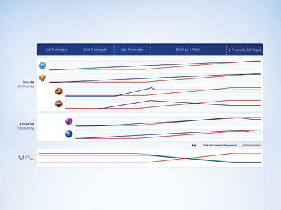 Innate and Adaptive Immunity 2d aftereffects awesome design flat graphic illustration indonesia motion semarang ui