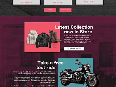 Web Design - Harley Davidson design ui ux web