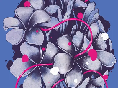 Plumeria digital drawing illustration ipad procreate
