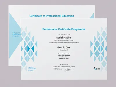TU Delft digital certificate certificates design logo type tool ui vector