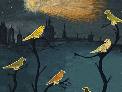 Bethlehem Birds bethesda bethlehem birds christmas comet gif gif animated gif animation gif art gif artist gifmas holiday holidays loop loop animation loop life meteor shooting star stopmotion xmas